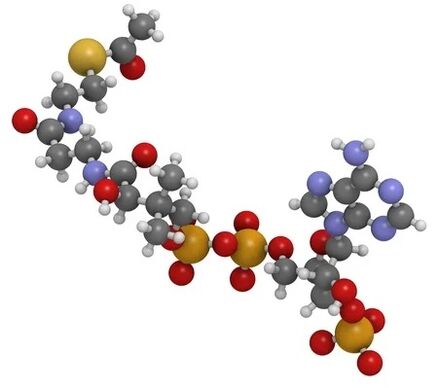 Simpla 360 contains Q10 coenzyme